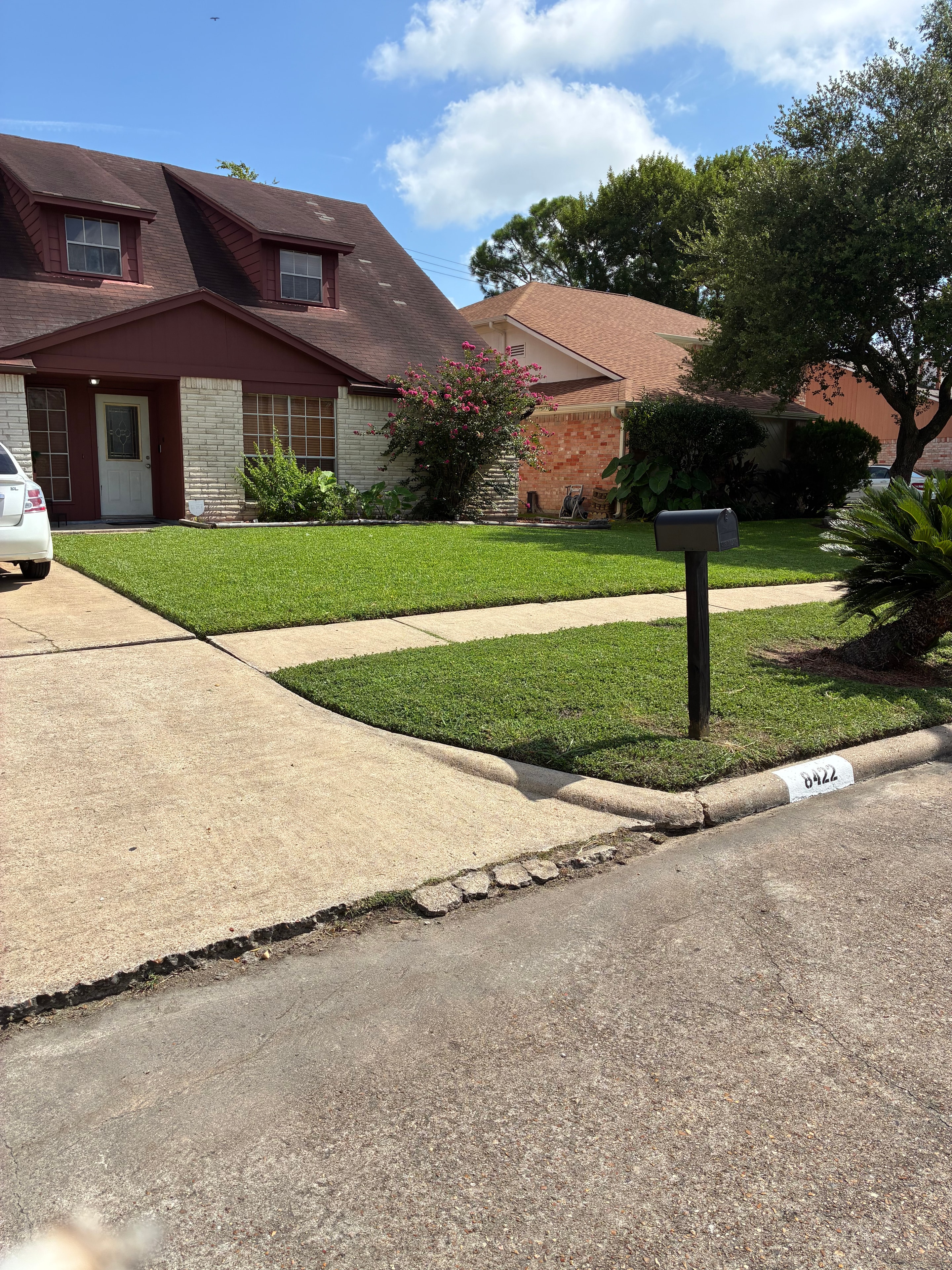 Manicured front lawn with crisp curved driveway edging and garden beds