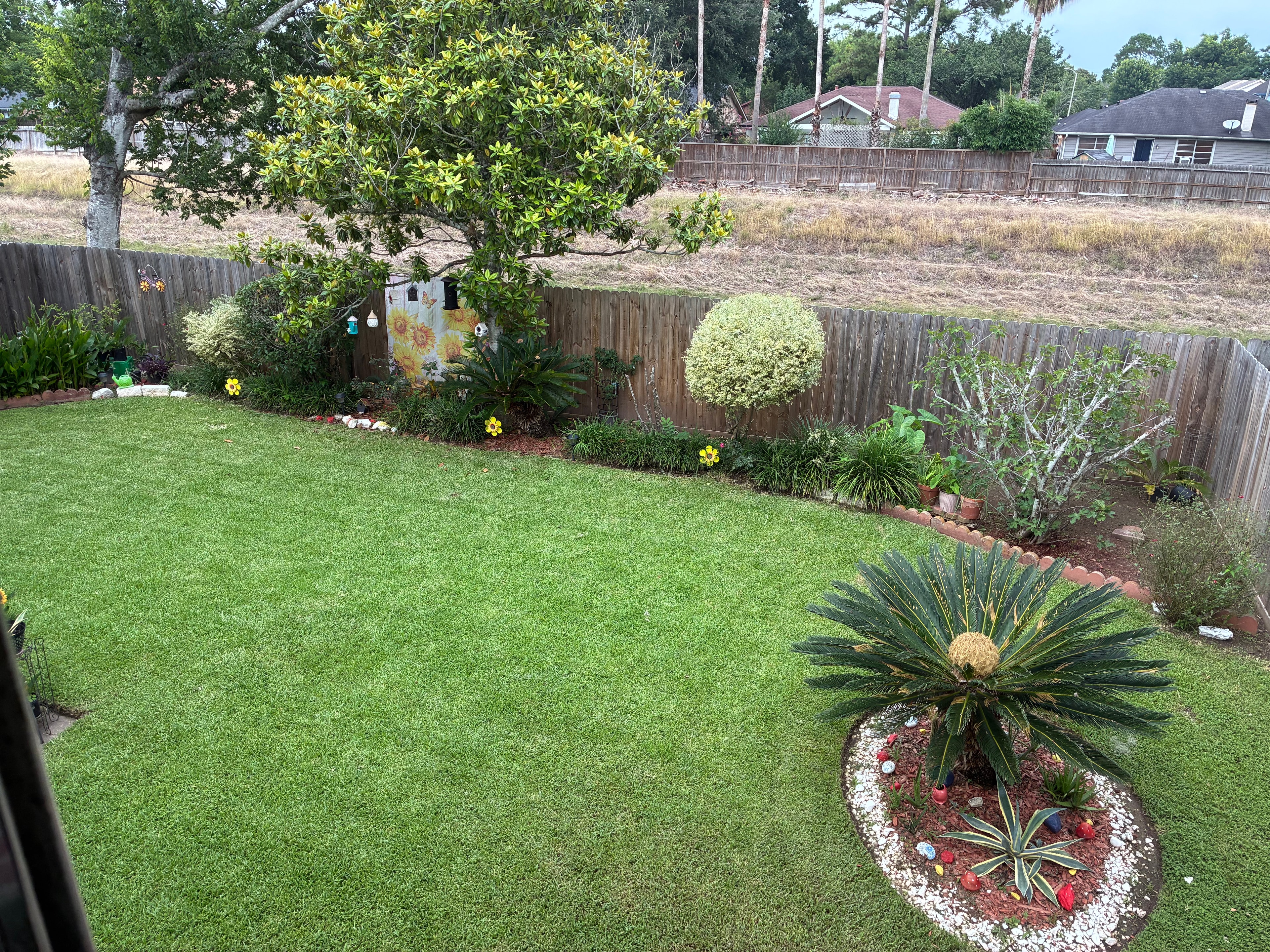 Lush backyard lawn with garden beds and landscaping