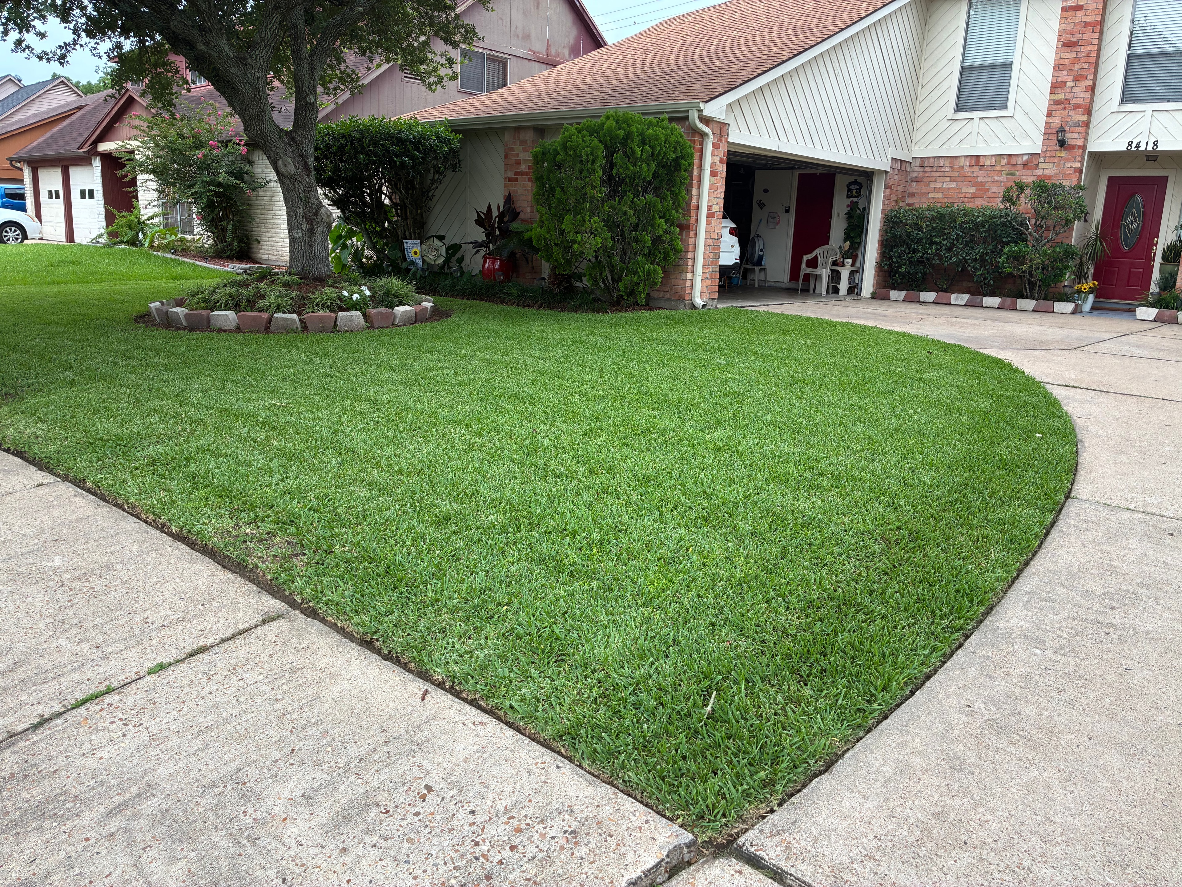 Beautifully edged neighborhood sidewalk with green lawns and trimmed beds