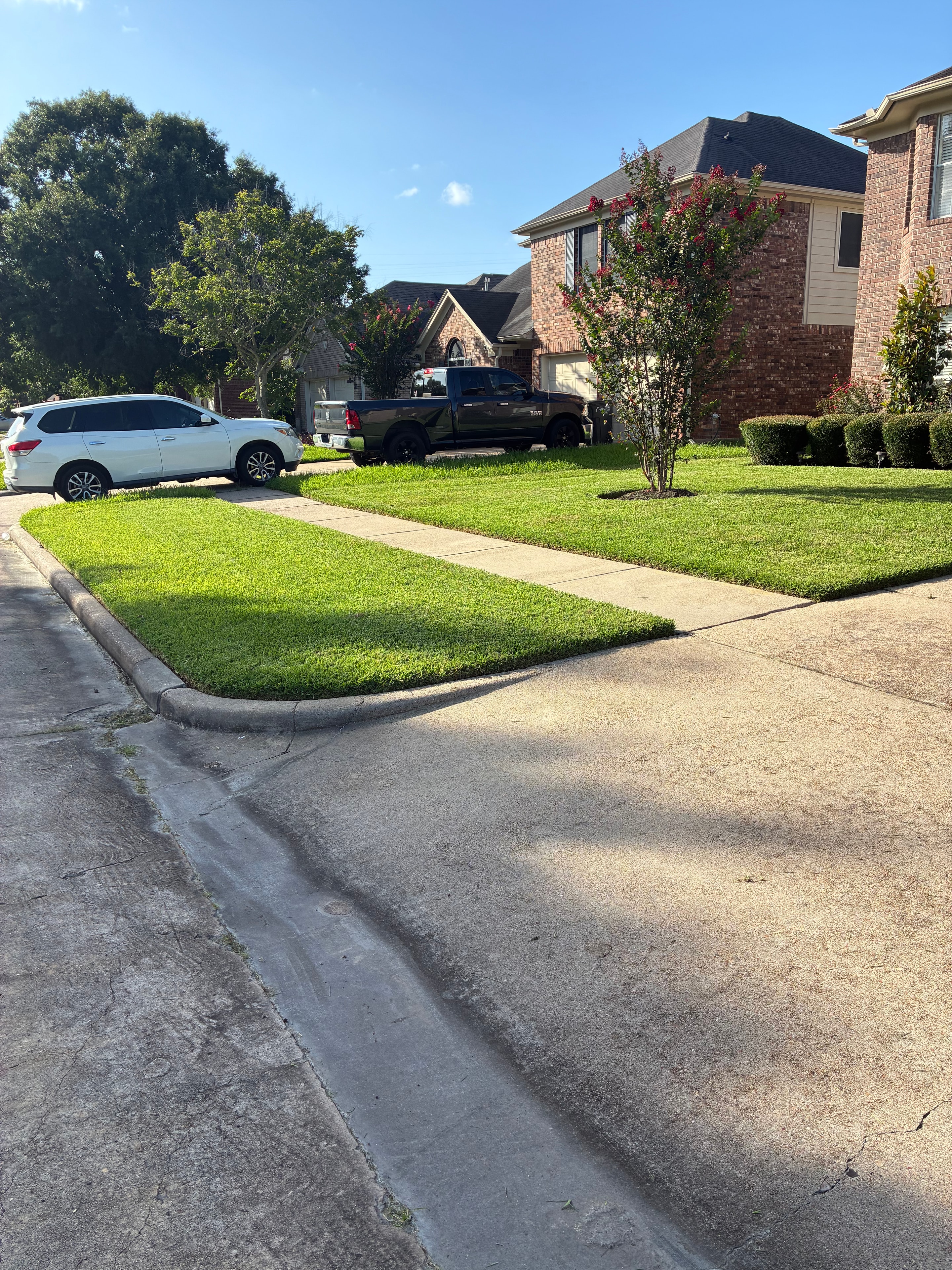 Bright green mowed front lawn with sidewalk edging