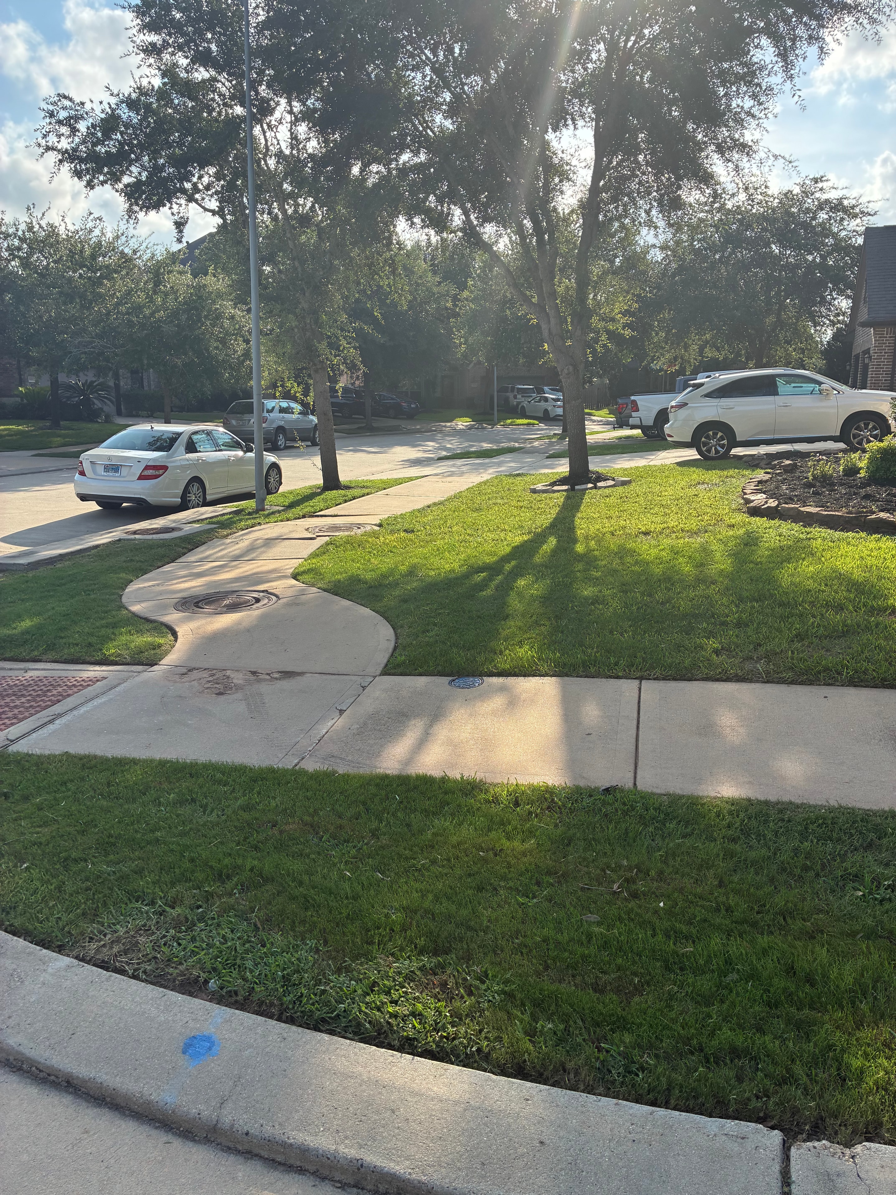 Neatly edged sidewalk with lush green lawn and garden bed