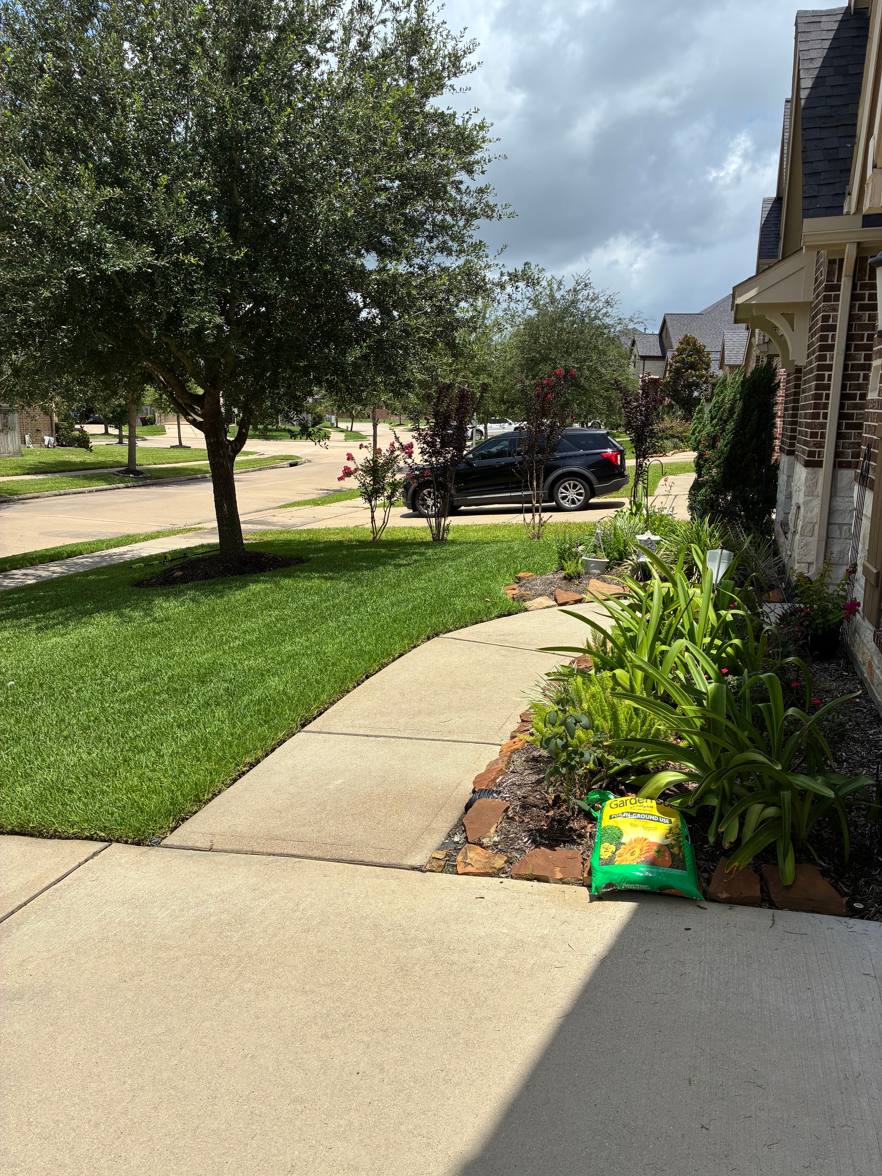 Walkway with lush edged lawn and garden bed