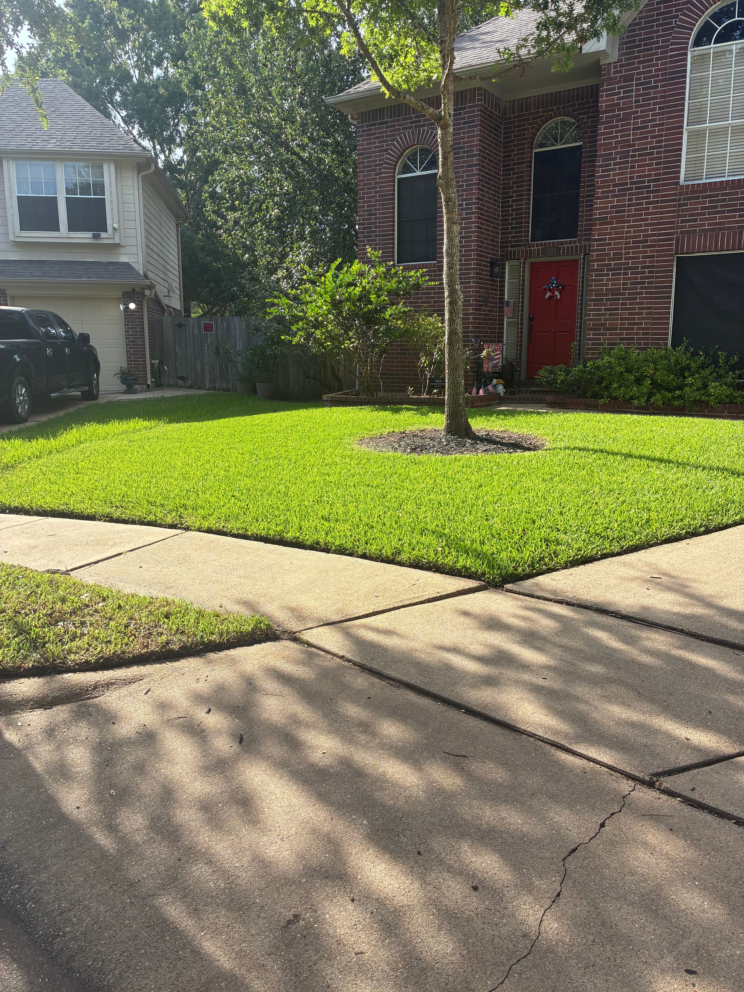 Beautiful green lawn