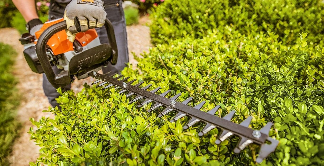 Bush Trimming