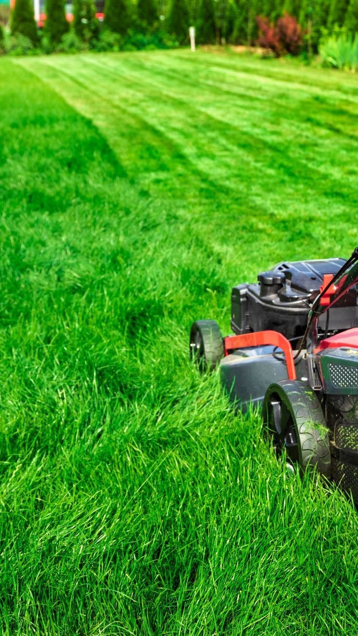 Lawn Care Service